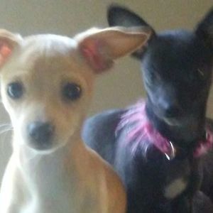 Meet your Posher, Mechele